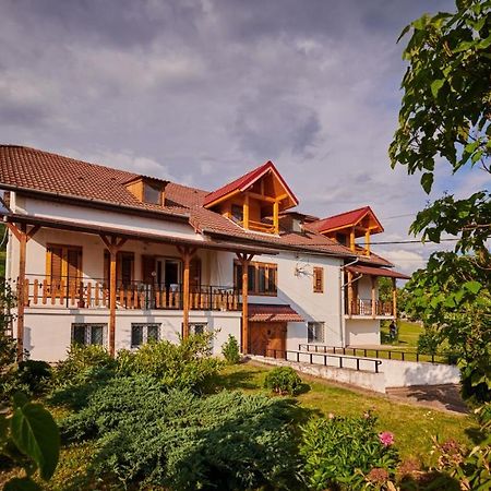 Vila Tara Hategului Exteriér fotografie