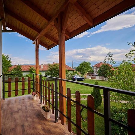 Vila Tara Hategului Exteriér fotografie