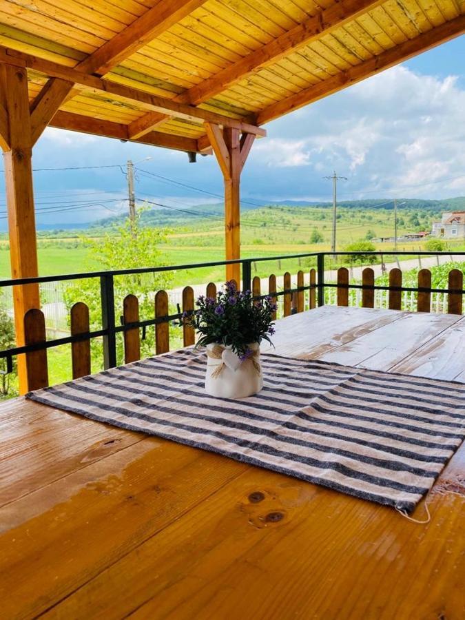 Vila Tara Hategului Exteriér fotografie