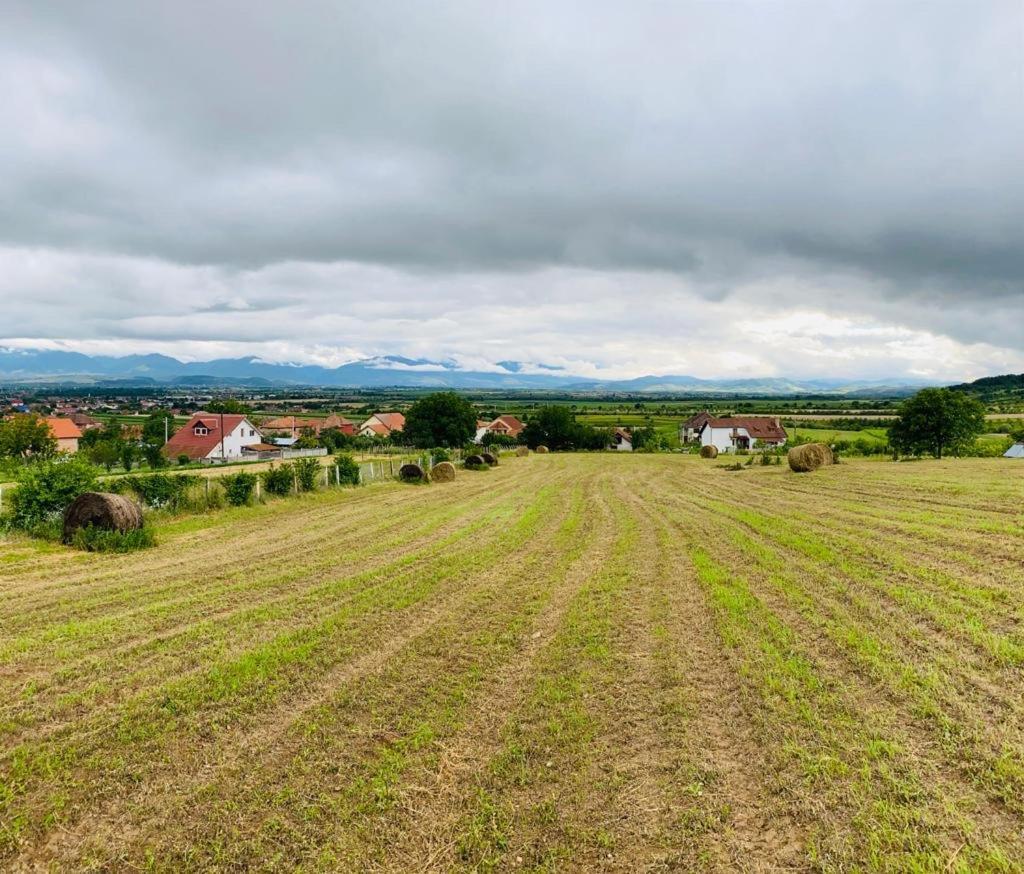 Vila Tara Hategului Exteriér fotografie