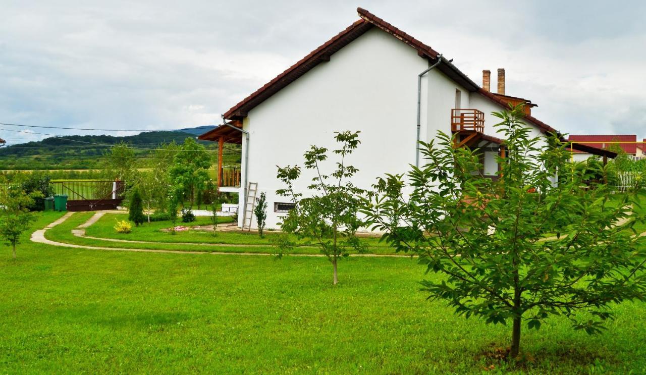 Vila Tara Hategului Exteriér fotografie
