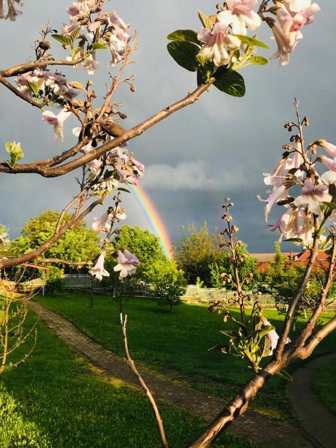 Vila Tara Hategului Exteriér fotografie