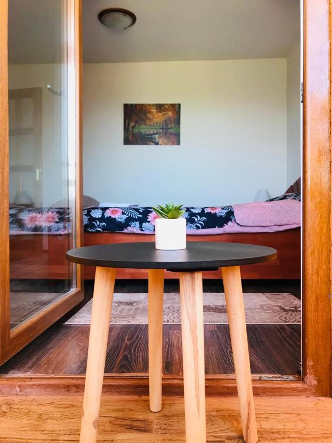 Vila Tara Hategului Exteriér fotografie
