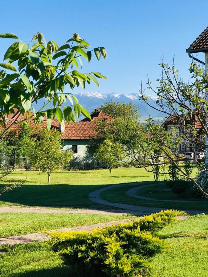 Vila Tara Hategului Exteriér fotografie