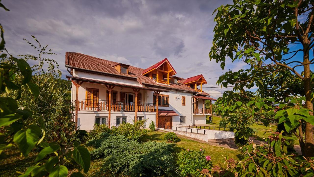 Vila Tara Hategului Exteriér fotografie