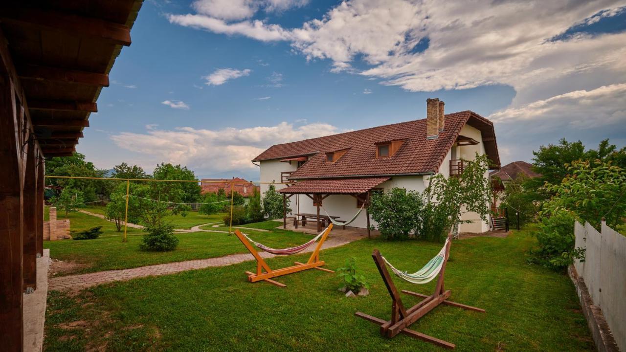 Vila Tara Hategului Exteriér fotografie