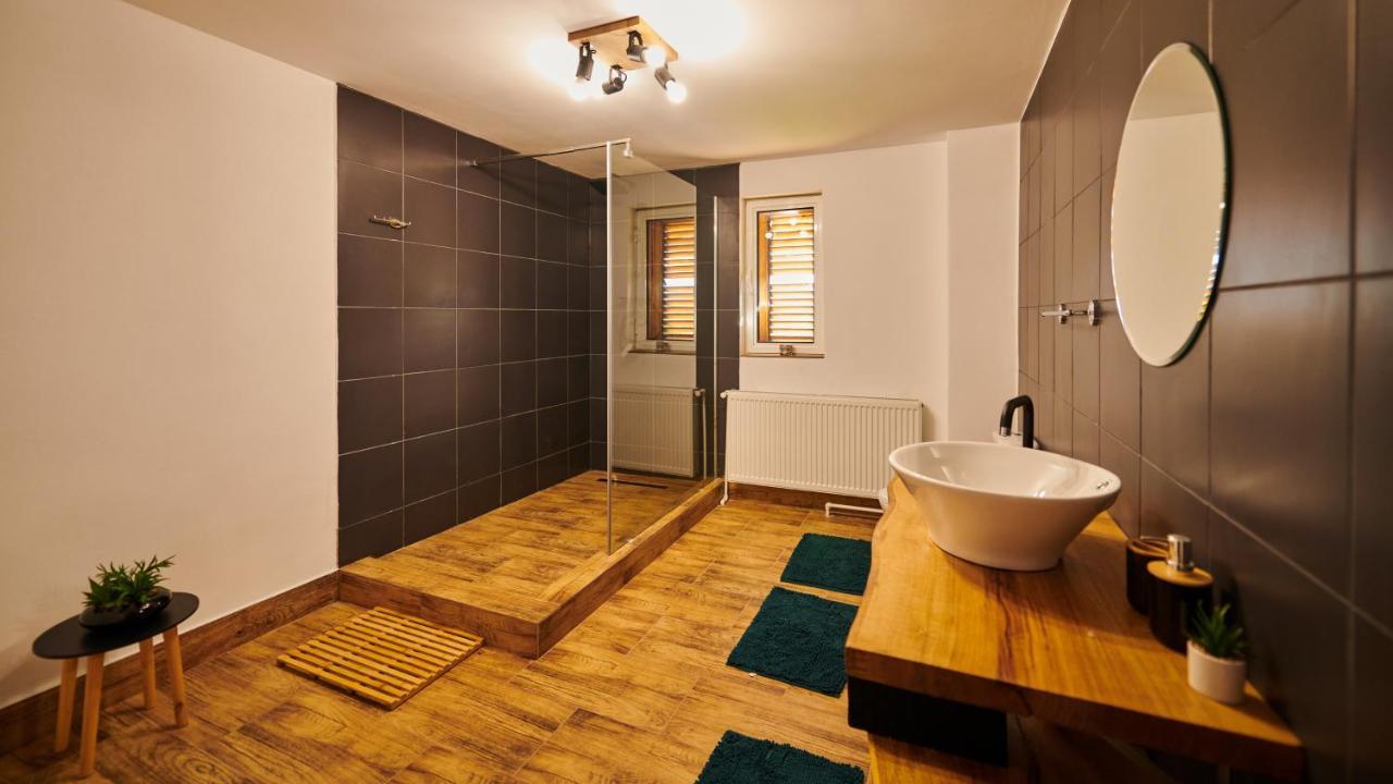 Vila Tara Hategului Exteriér fotografie